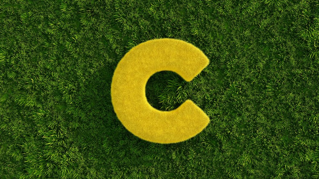 60+ Rare and Unique C Names for Boys | When you think of boy names that start with C, what’s the first name that comes to mind? Babies yellow letter c on grass lawn