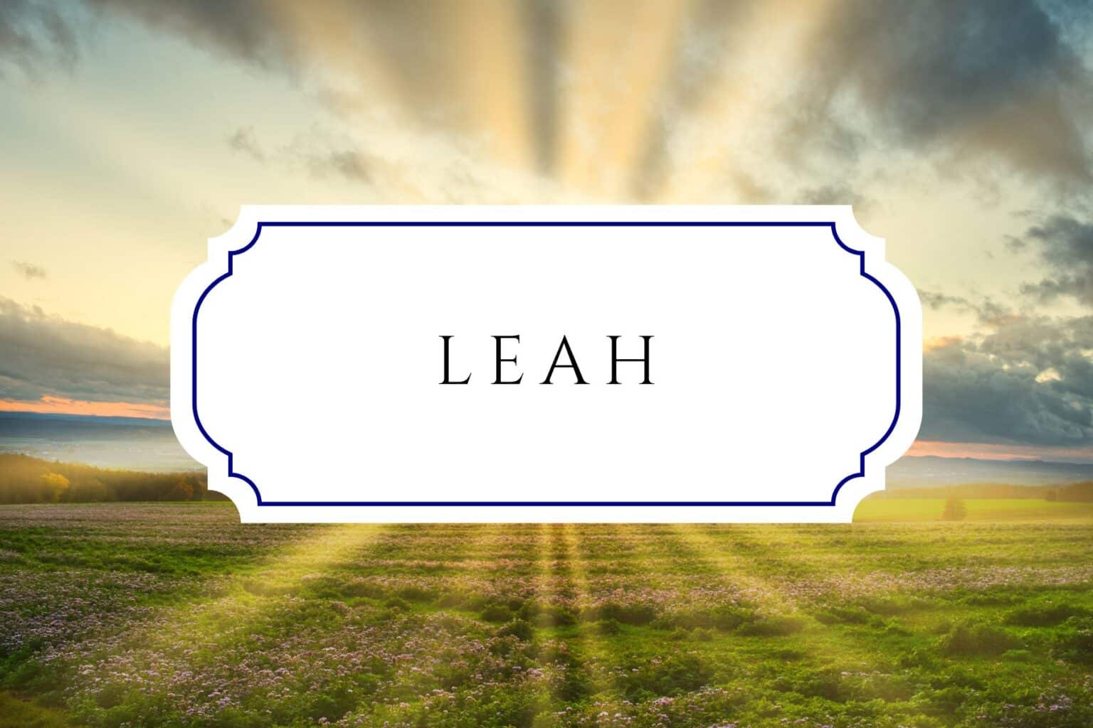 60+ Earthy Girl Names Honoring Earth Day