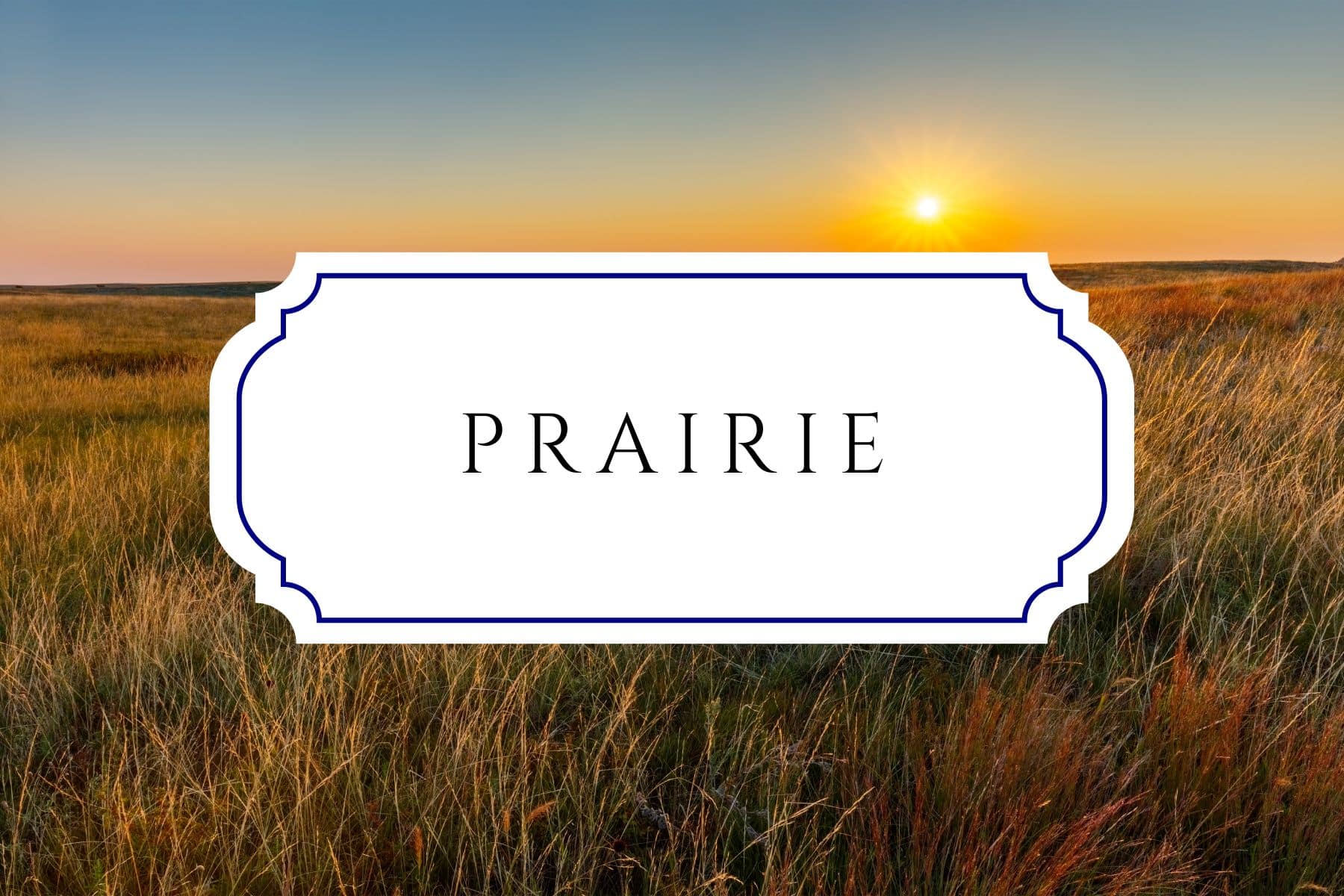 60+ Earthy Girl Names Honoring Earth Day