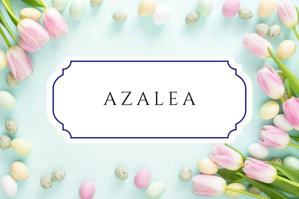 50+ Easter Baby Names for Your Boy or Girl | Outside of February, April is consistently one of the least popular months to have a child, per the CDC. Babies easter names azalea