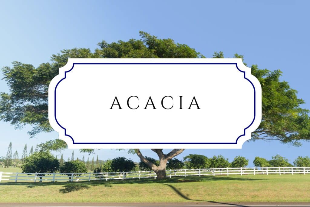 tree names acacia