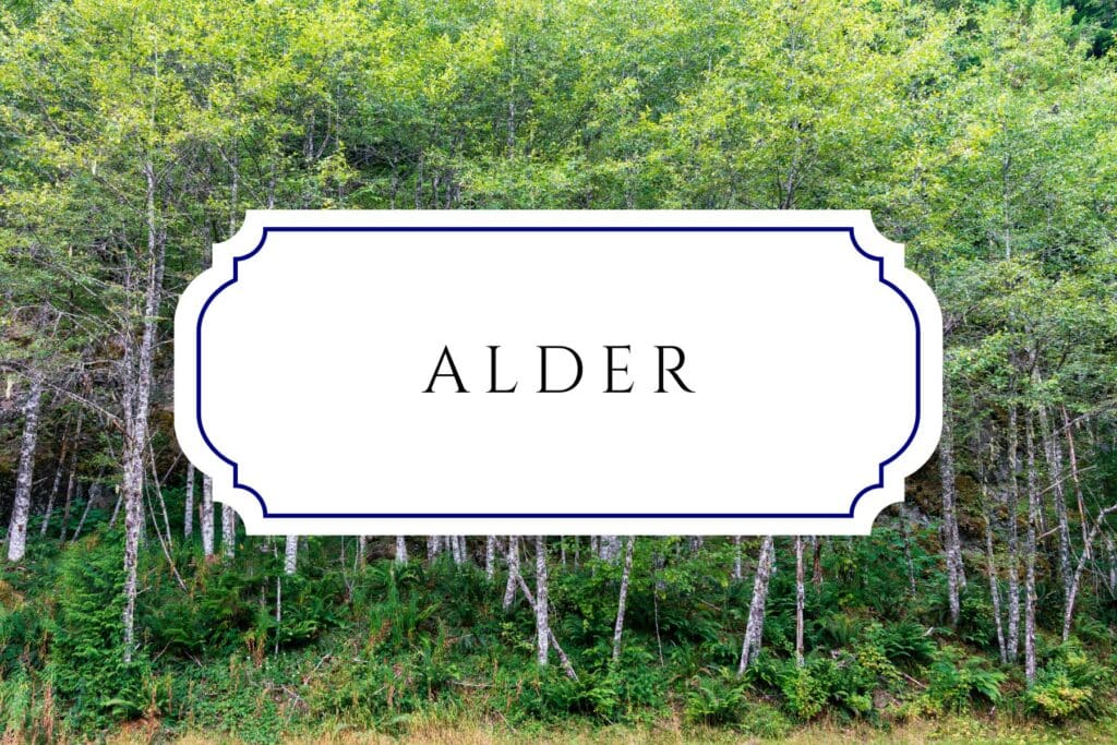 tree names alder