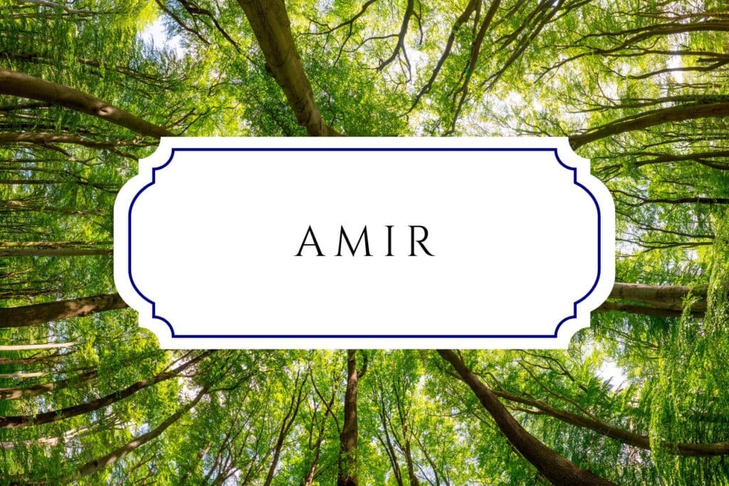 tree names amir