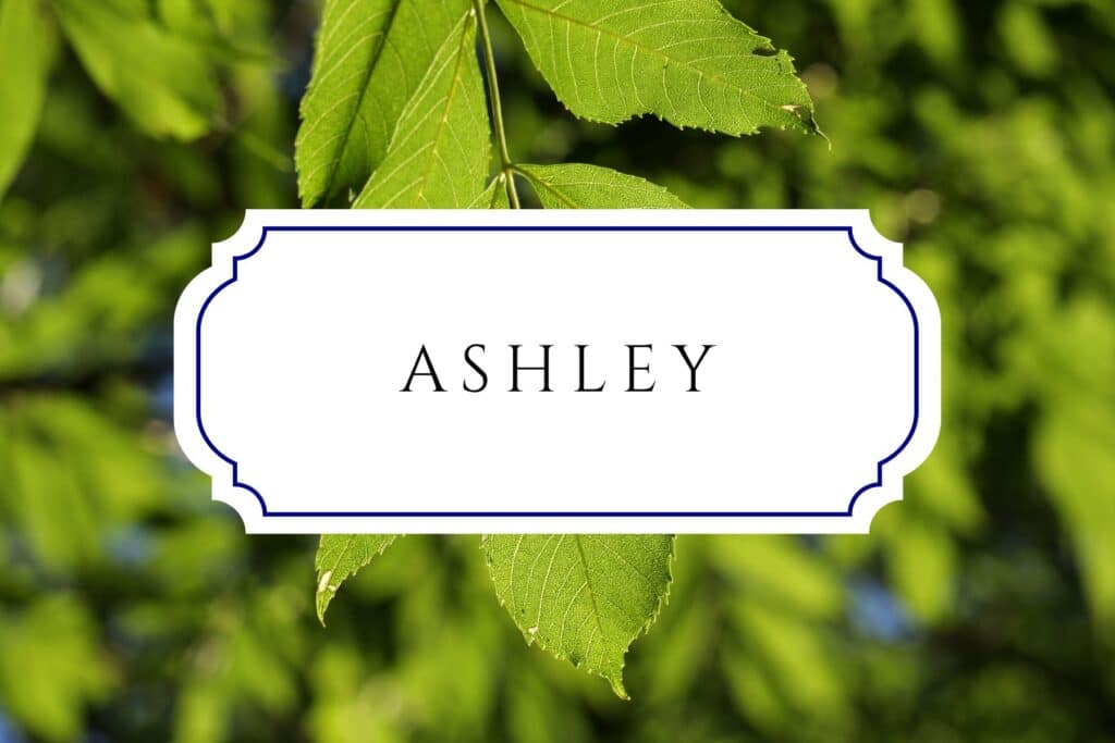 tree names ashley