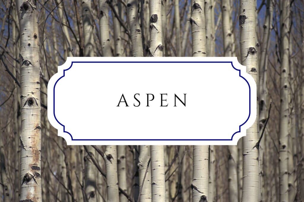 tree names aspen