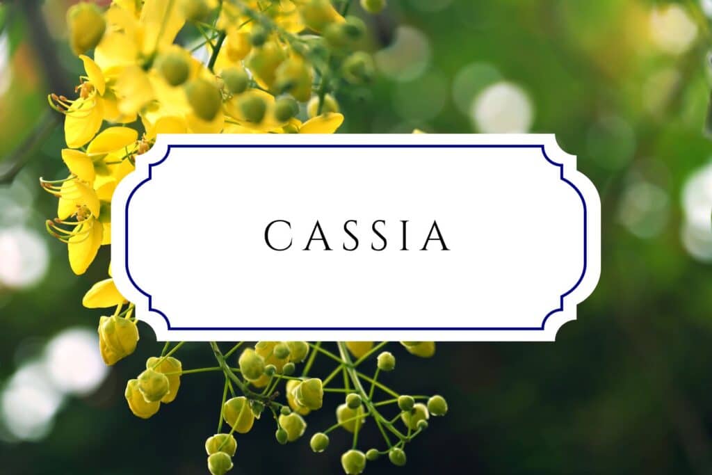 tree names cassia