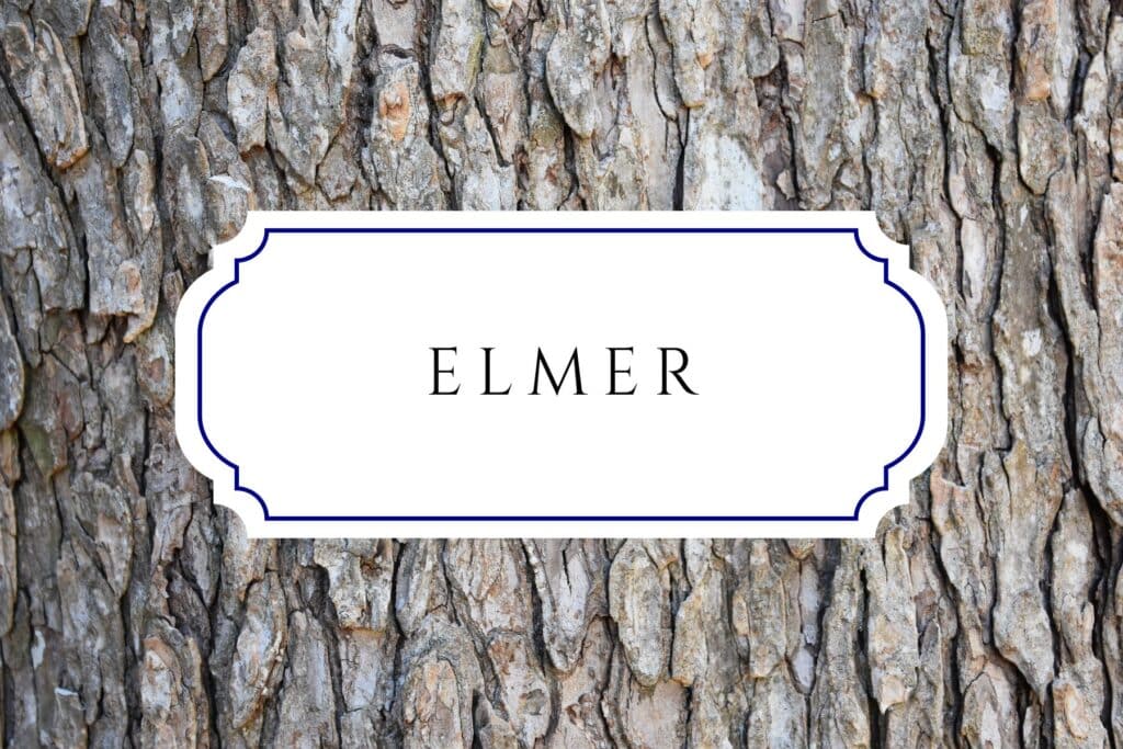 tree names elmer