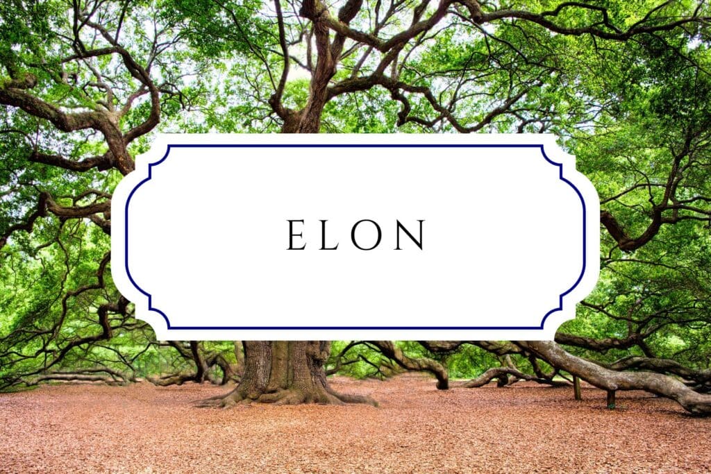 tree names elon