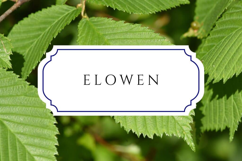 tree names elowen