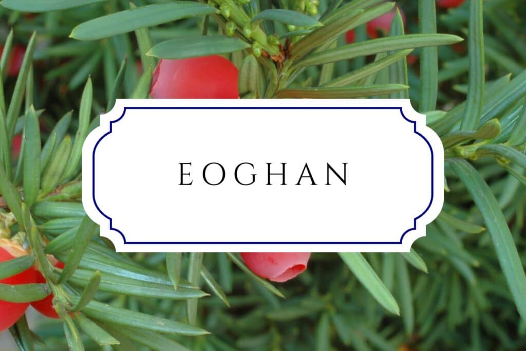 tree names eoghan