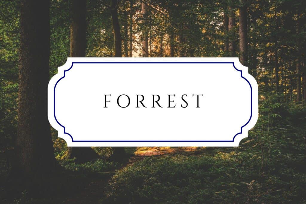 tree names forrest