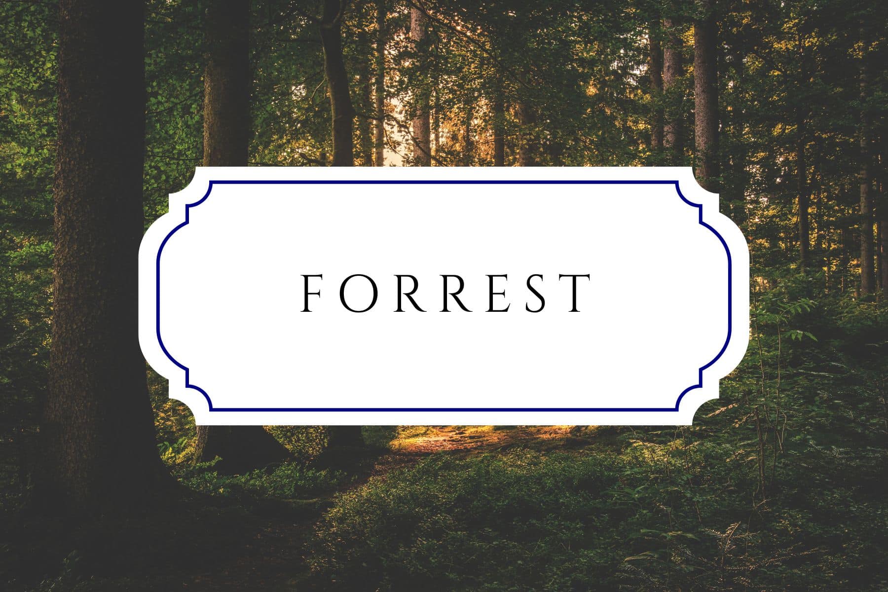 50+ Tree Names For Babies In Honor Of Arbor Day