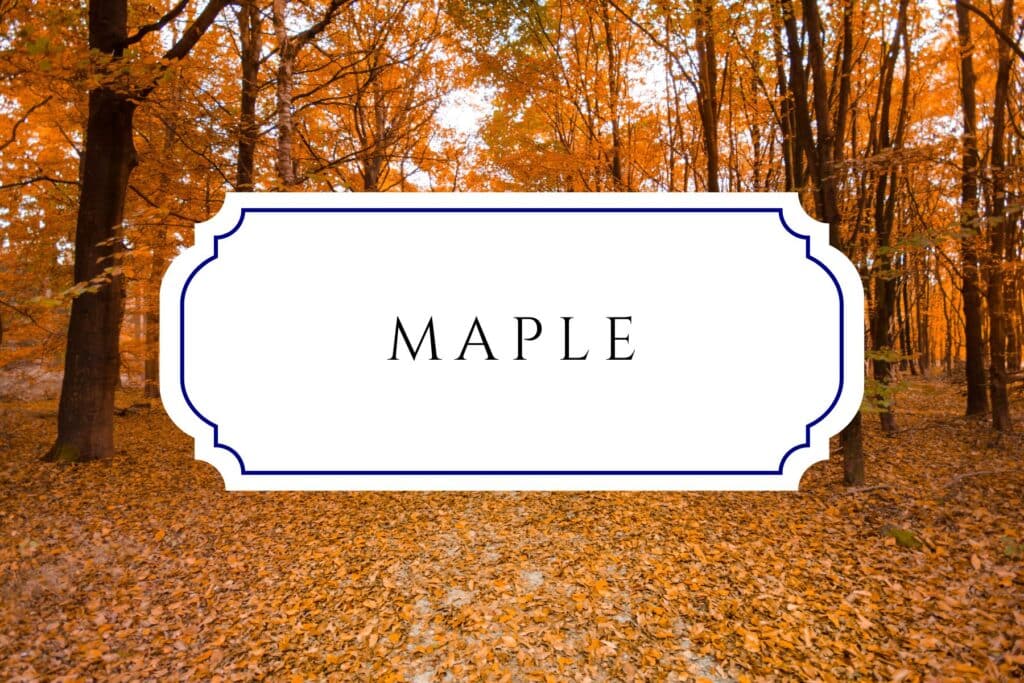 tree names maple