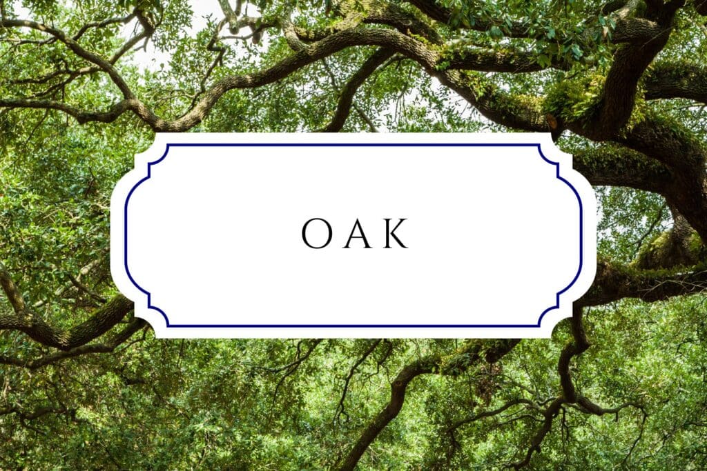 tree names oak