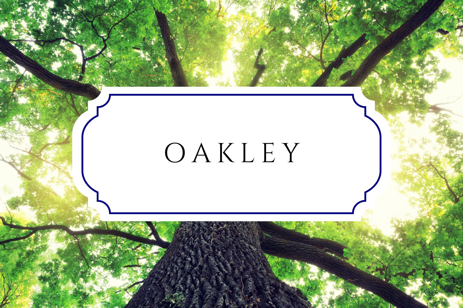 50+ Tree Names For Babies In Honor Of Arbor Day