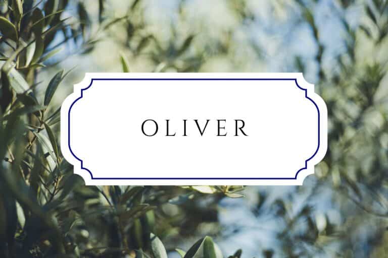 50+ Tree Names For Babies In Honor Of Arbor Day