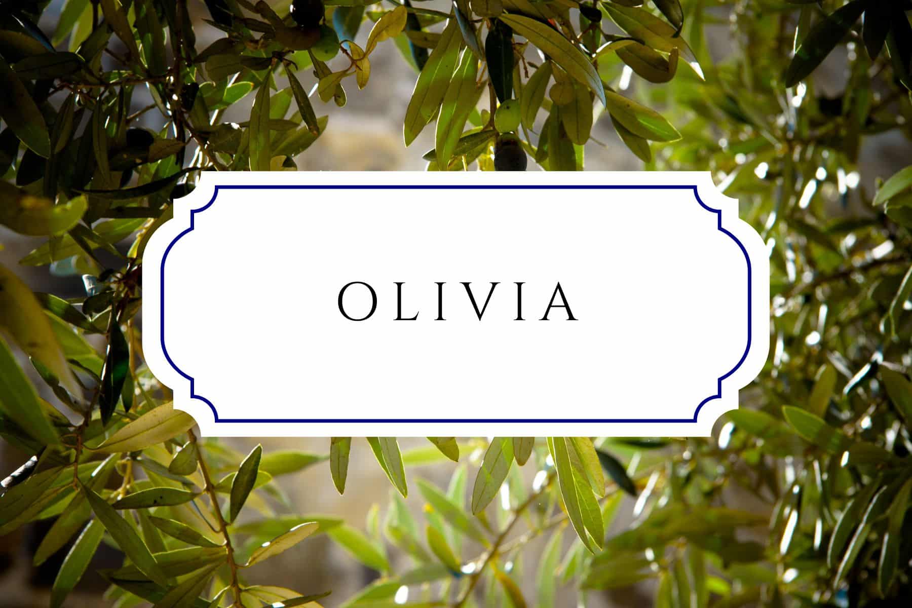 50+ Tree Names For Babies In Honor Of Arbor Day