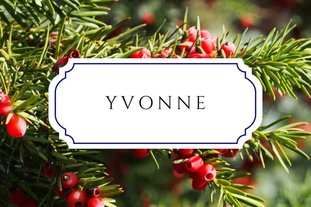 tree names yvonne