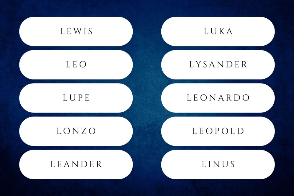 l boy names that start with l