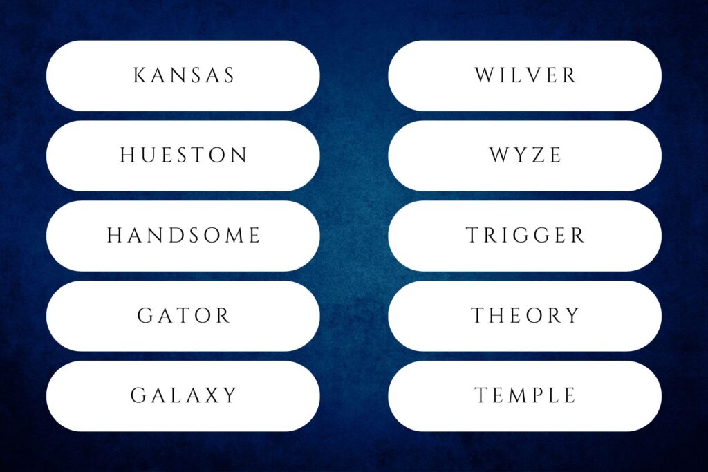 rare boy names 2024