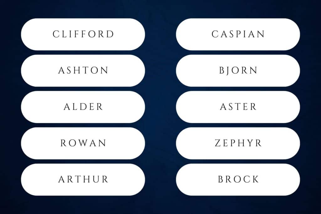 60+ Nature Inspired Boy Names for Your Future Son | Oliver, Hudson, Leo, Dylan, Mason and Logan each ranked inside the Social Security’s top-50 in 2024. Babies nature names for boys
