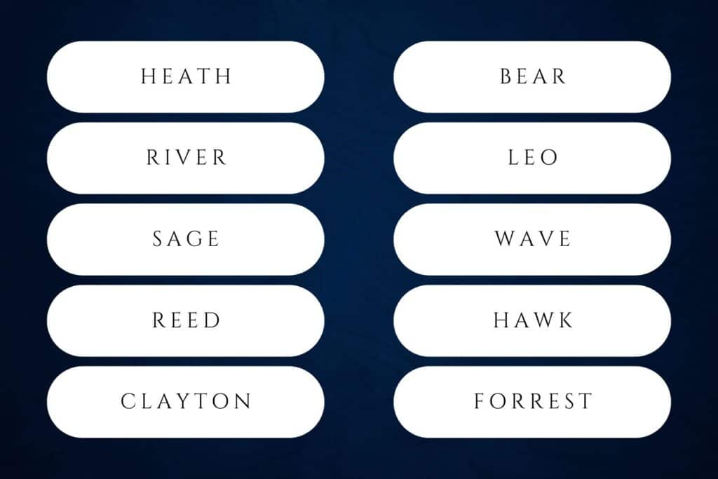 60+ Nature Inspired Boy Names for Your Future Son | Oliver, Hudson, Leo, Dylan, Mason and Logan each ranked inside the Social Security’s top-50 in 2024. Babies nature names for boys