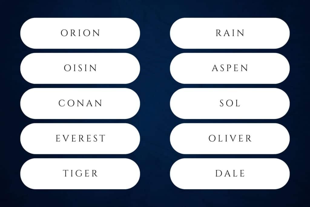 60+ Nature Inspired Boy Names for Your Future Son | Oliver, Hudson, Leo, Dylan, Mason and Logan each ranked inside the Social Security’s top-50 in 2024. Babies nature names for boys