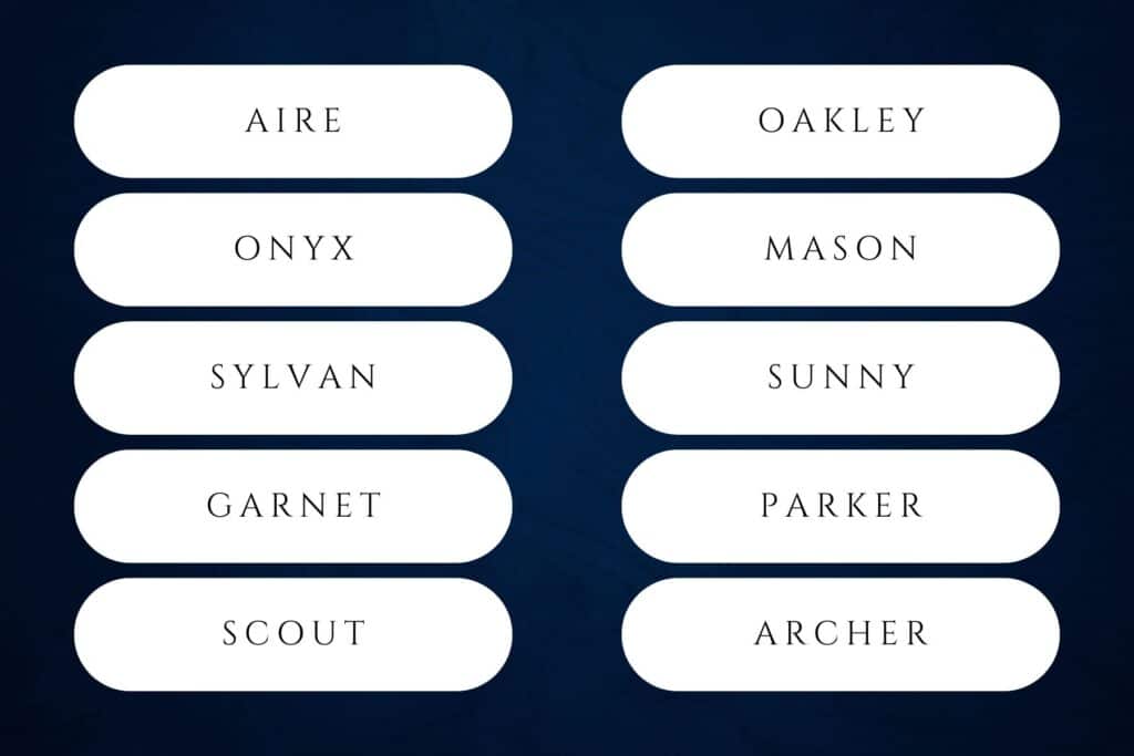 60+ Nature Inspired Boy Names for Your Future Son | Oliver, Hudson, Leo, Dylan, Mason and Logan each ranked inside the Social Security’s top-50 in 2024. Babies nature names for boys