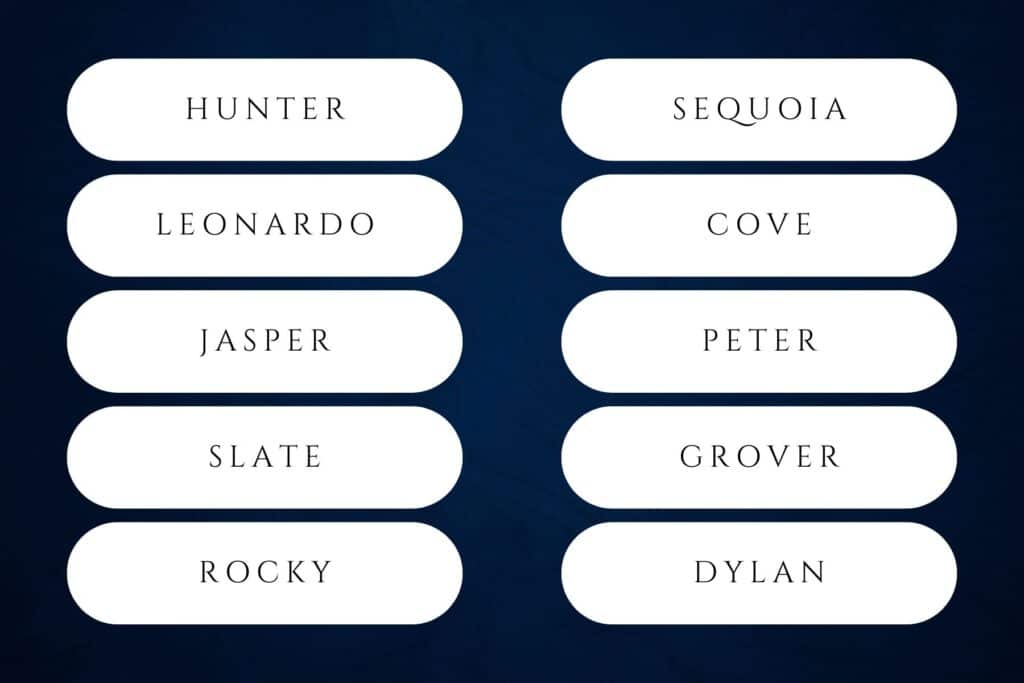 60+ Nature Inspired Boy Names for Your Future Son | Oliver, Hudson, Leo, Dylan, Mason and Logan each ranked inside the Social Security’s top-50 in 2024. Babies nature names for boys