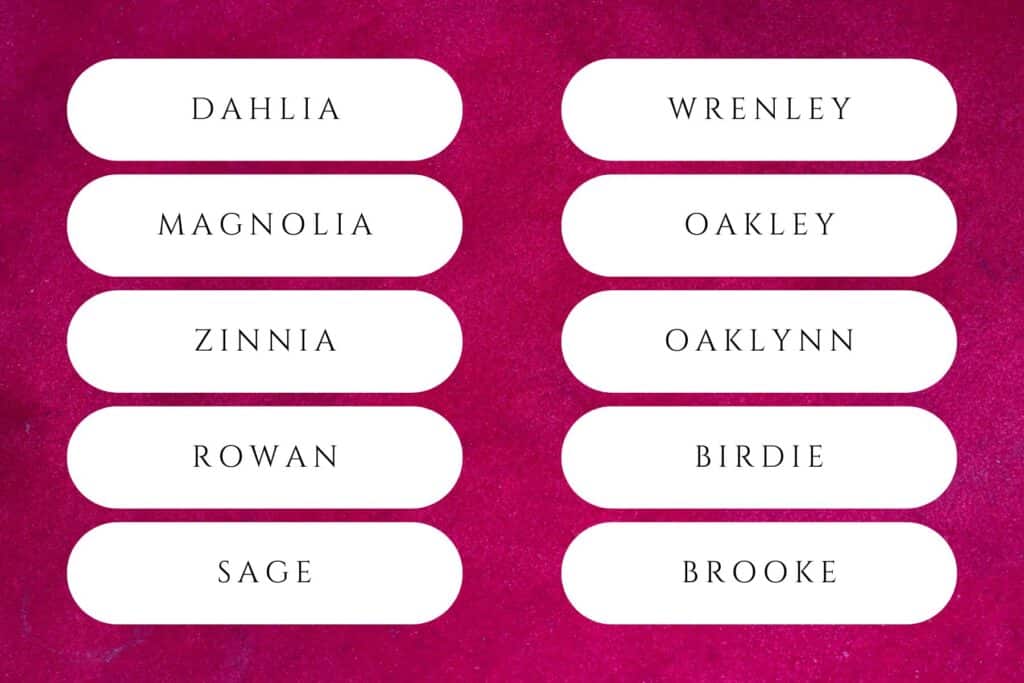 65+ Trendy Nature Girl Names That Celebrate Earth’s Beauty | Olivia has been the No. 1 most popular girl’s name in the United States every year since 2019. Babies nature names for girls