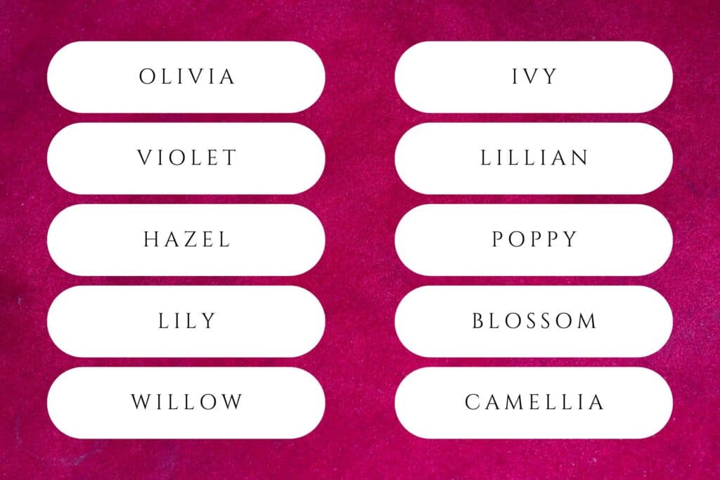 65+ Trendy Nature Girl Names That Celebrate Earth’s Beauty | Olivia has been the No. 1 most popular girl’s name in the United States every year since 2019. Babies nature names for girls