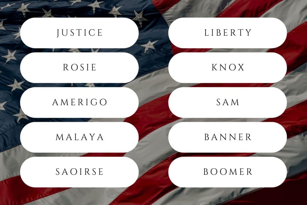 patriotic names 4th of july names