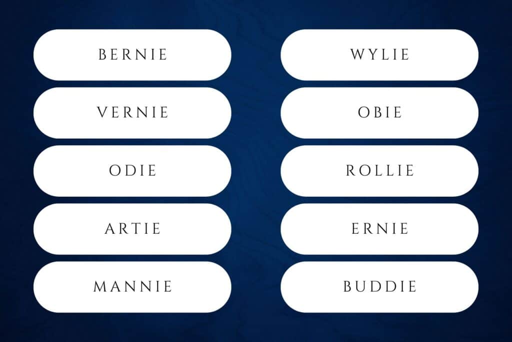 boy names ending in ie