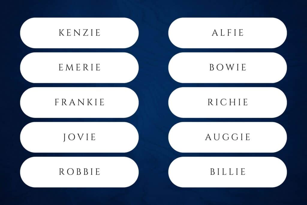 boy names ending in ie