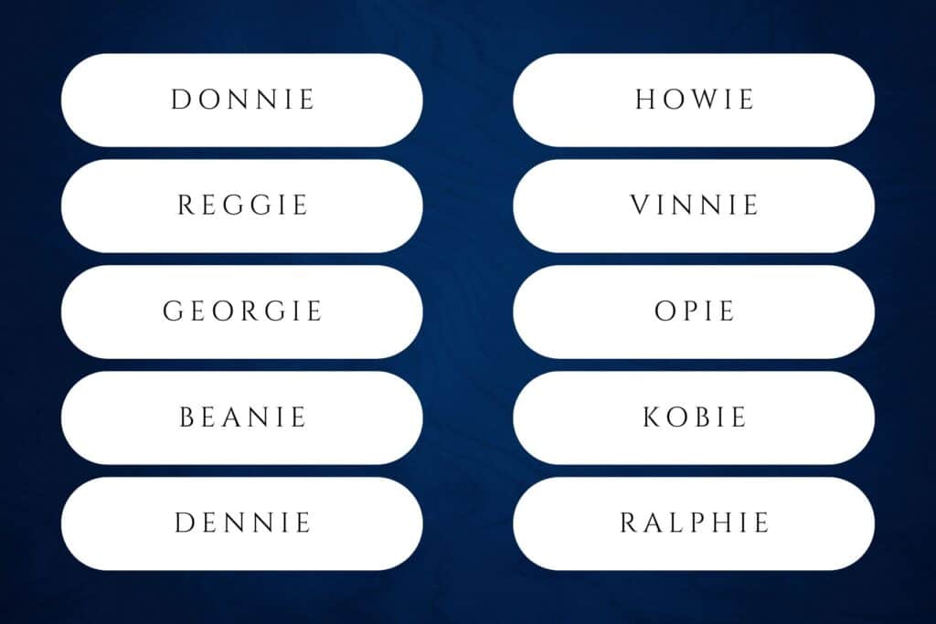 boy names ending in ie