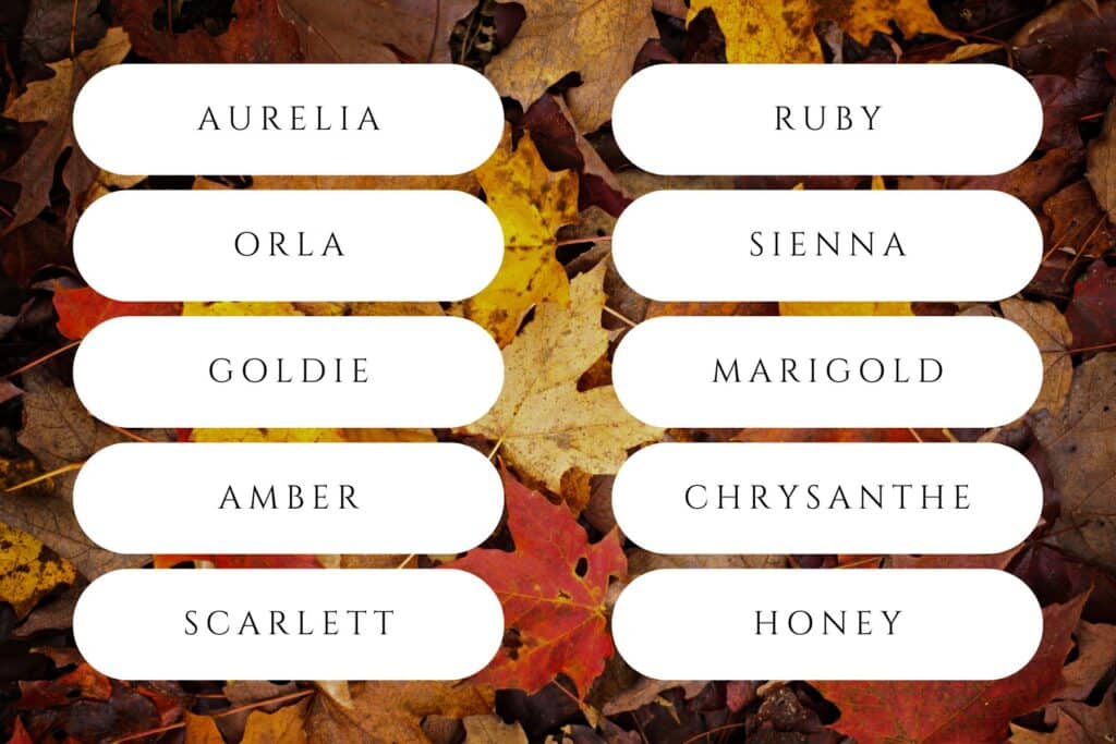 fall names for girls inspired by fall colors