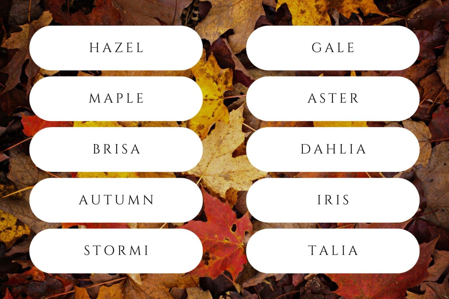 Fall Names For Girls That Are Warm And Cozy For Your Newborn Baby