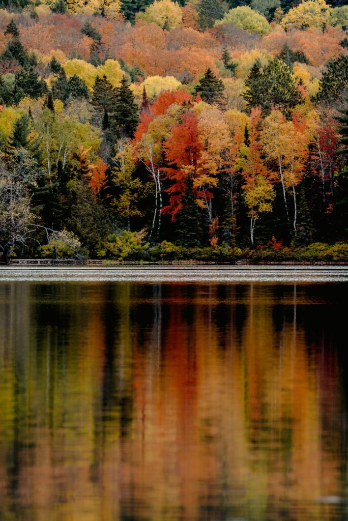 Fall-inspired baby girl names that feel as warm and cozy as your favorite autumn sweater | Autumn has arrived — so let’s give that baby name list of yours a much-needed fall makeover. Babies beautiful autumn scene