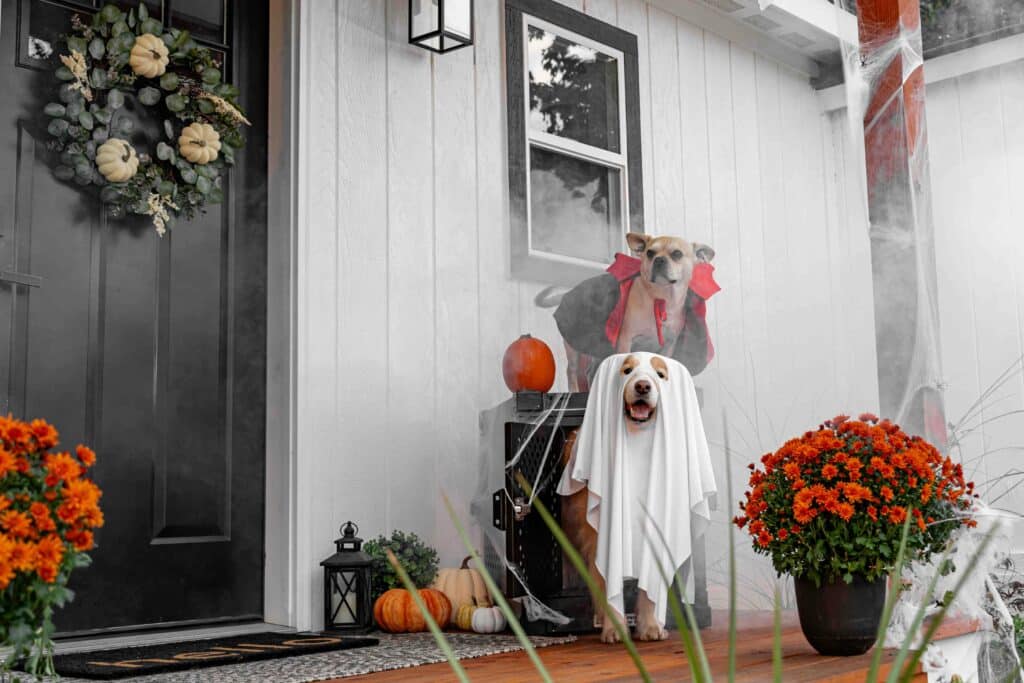 You might think it’s too soon for Halloween decorations — but your neighbors clearly disagree