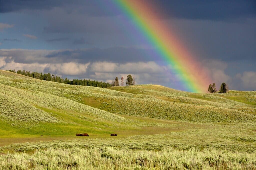 Rainbow baby names that'll fill your newborn son's miracle life with love and color