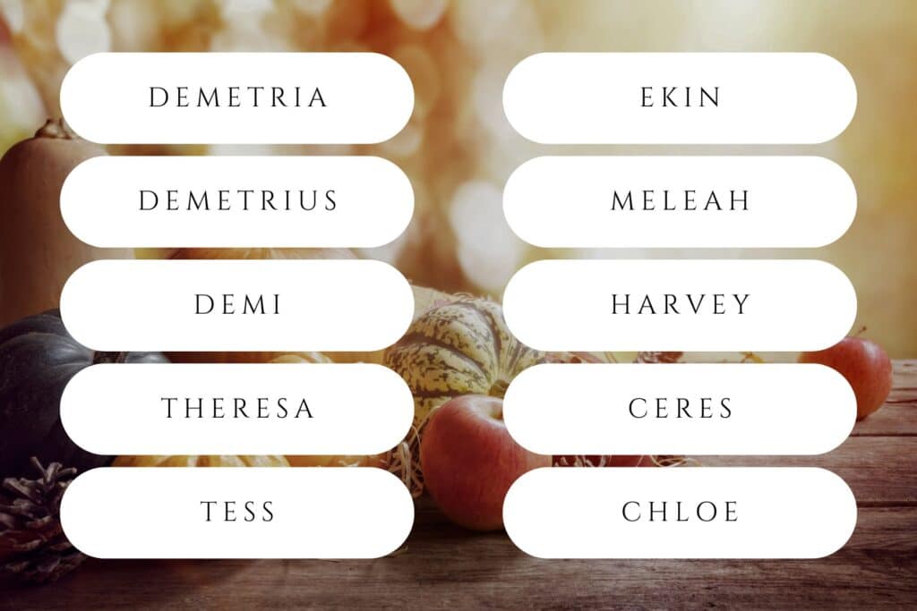 50 Thanksgiving names your family can be thankful for this year