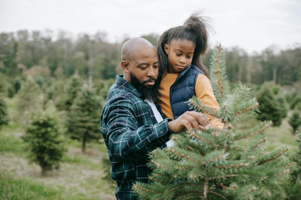 how long does a real christmas tree last and the secret to making it last longer
